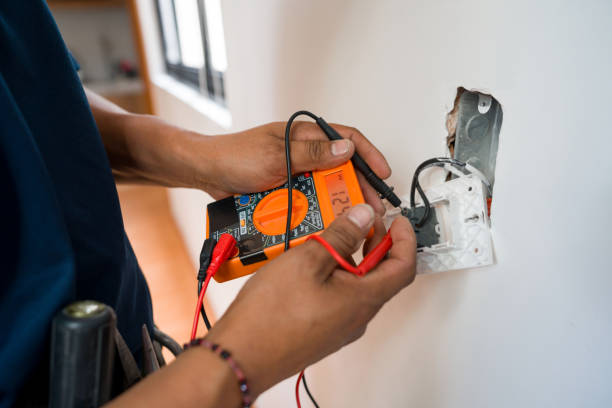 Best Electric Panel Repair  in Whiteville, TN